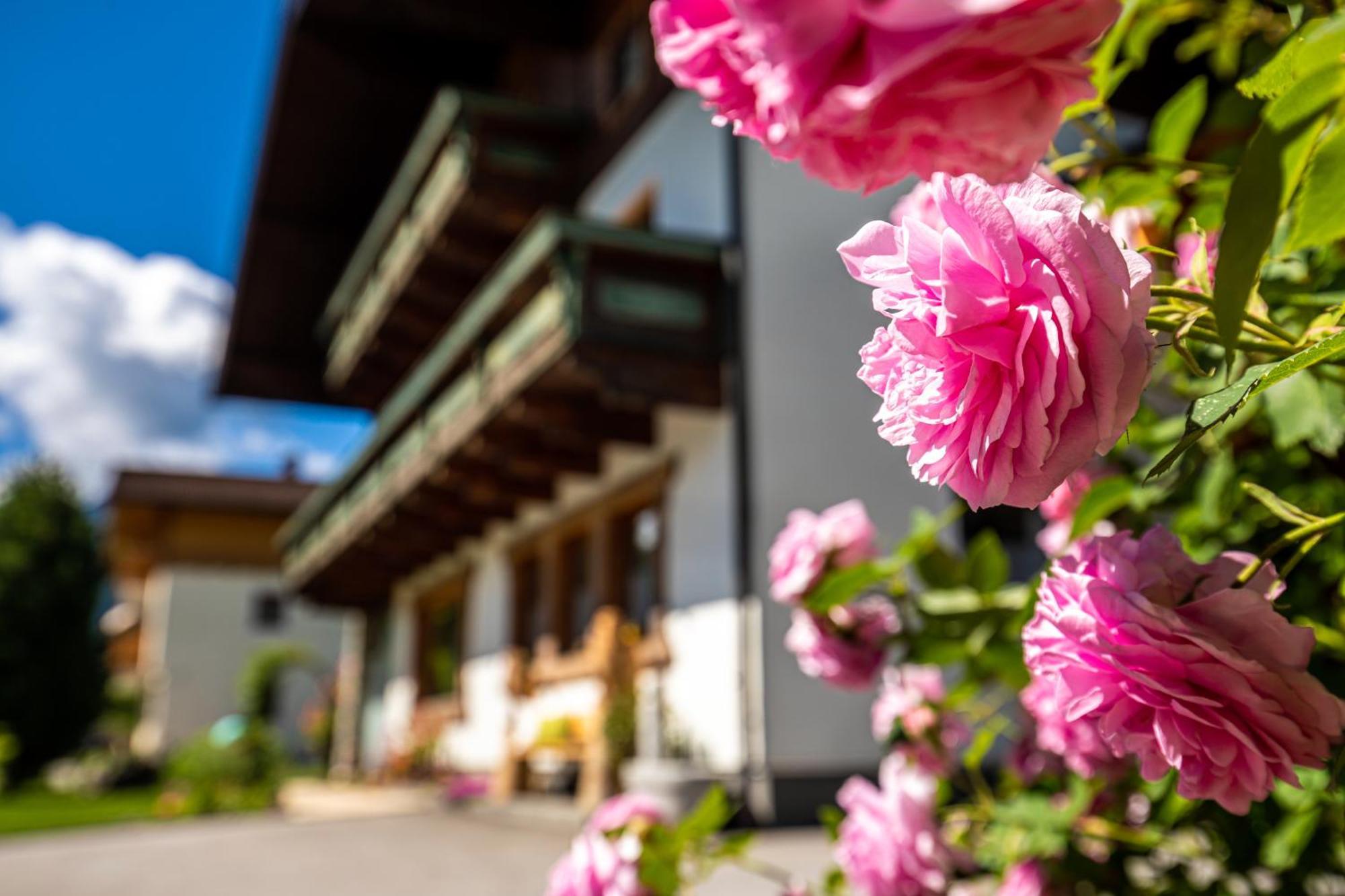 Holiday Im Gaestehaus Warter In Altenmarkt Altenmarkt im Pongau Zewnętrze zdjęcie