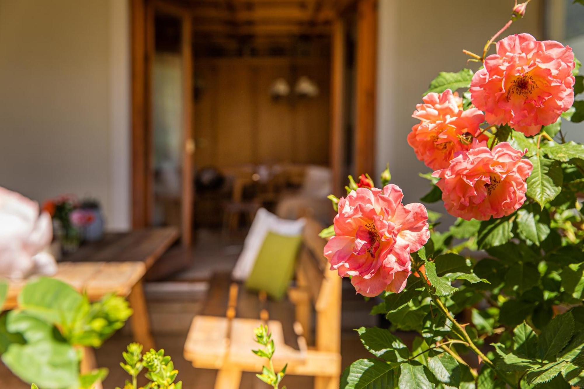 Holiday Im Gaestehaus Warter In Altenmarkt Altenmarkt im Pongau Zewnętrze zdjęcie